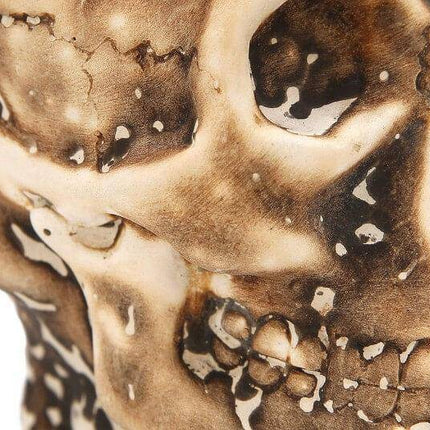 Werkbund - Werkbund Hookah - Skull Shisha Bowl - The Premium Way